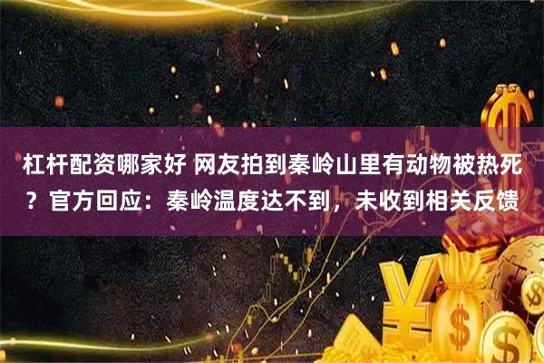杠杆配资哪家好 网友拍到秦岭山里有动物被热死？官方回应：秦岭温度达不到，未收到相关反馈